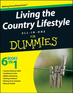 Книга "Living the Country Lifestyle All-In-One For Dummies" – 