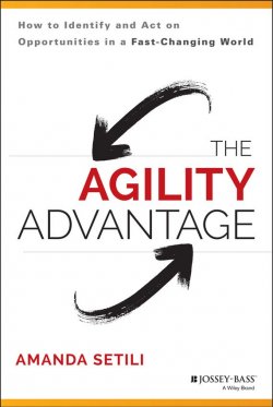 Книга "The Agility Advantage. How to Identify and Act on Opportunities in a Fast-Changing World" – 
