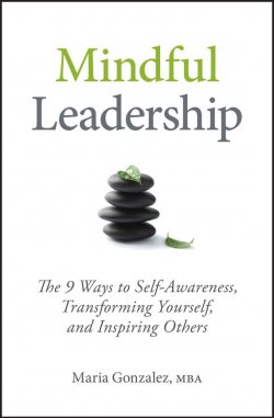Книга "Mindful Leadership. The 9 Ways to Self-Awareness, Transforming Yourself, and Inspiring Others" – 