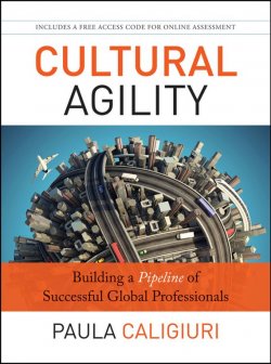 Книга "Cultural Agility. Building a Pipeline of Successful Global Professionals" – 