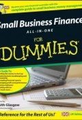 Small Business Finance All-in-One For Dummies ()