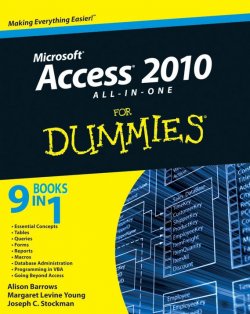 Книга "Access 2010 All-in-One For Dummies" – 
