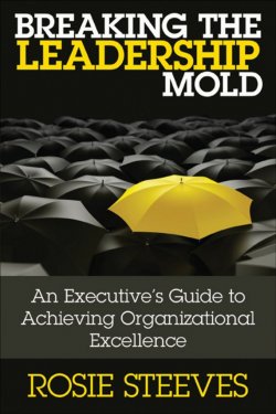 Книга "Breaking the Leadership Mold. An Executives Guide to Achieving Organizational Excellence" – 