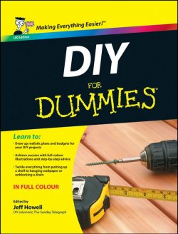 Книга "DIY For Dummies" – 