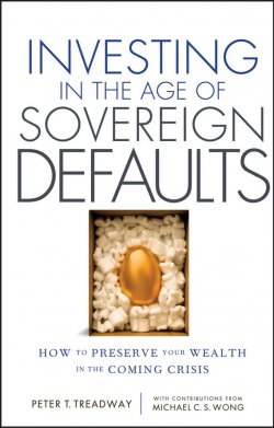 Книга "Investing in the Age of Sovereign Defaults. How to Preserve your Wealth in the Coming Crisis" – 