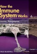 How the Immune System Works ()