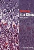 Histology at a Glance ()