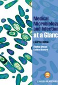 Medical Microbiology and Infection at a Glance ()