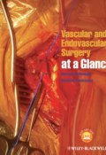 Vascular and Endovascular Surgery at a Glance ()
