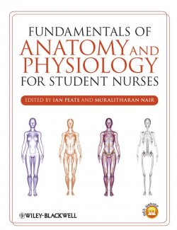 Книга "Fundamentals of Anatomy and Physiology for Student Nurses" – 