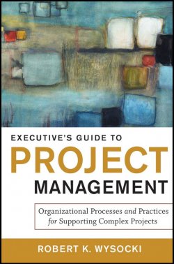 Книга "Executives Guide to Project Management. Organizational Processes and Practices for Supporting Complex Projects" – 