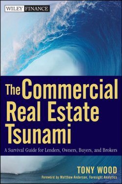 Книга "The Commercial Real Estate Tsunami. A Survival Guide for Lenders, Owners, Buyers, and Brokers" – 