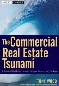 The Commercial Real Estate Tsunami. A Survival Guide for Lenders, Owners, Buyers, and Brokers ()