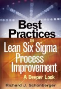 Best Practices in Lean Six Sigma Process Improvement. A Deeper Look ()