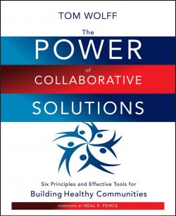 Книга "The Power of Collaborative Solutions. Six Principles and Effective Tools for Building Healthy Communities" – 
