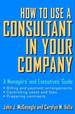 Книга "How to Use a Consultant in Your Company. A Managers and Executives Guide" – 