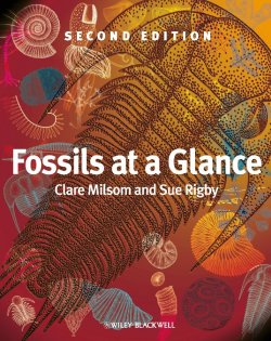 Книга "Fossils at a Glance" – 