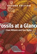 Fossils at a Glance ()