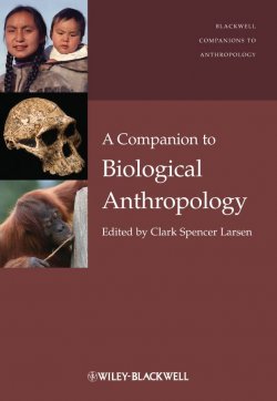 Книга "A Companion to Biological Anthropology" – 