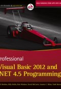 Professional Visual Basic 2012 and .NET 4.5 Programming ()