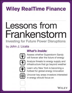 Книга "Lessons from Frankenstorm. Investing for Future Power Disruptions" – 