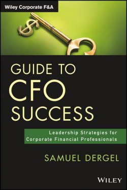 Книга "Guide to CFO Success. Leadership Strategies for Corporate Financial Professionals" – 