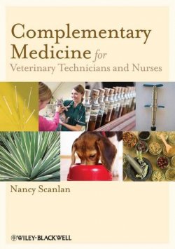 Книга "Complementary Medicine for Veterinary Technicians and Nurses" – 
