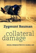 Collateral Damage. Social Inequalities in a Global Age ()