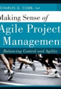 Making Sense of Agile Project Management. Balancing Control and Agility ()