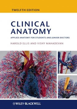 Книга "Clinical Anatomy. Applied Anatomy for Students and Junior Doctors" – 