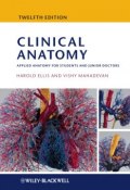 Clinical Anatomy. Applied Anatomy for Students and Junior Doctors ()