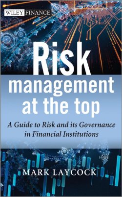 Книга "Risk Management At The Top. A Guide to Risk and its Governance in Financial Institutions" – 
