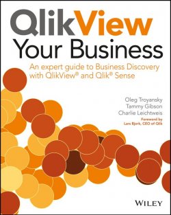 Книга "QlikView Your Business. An Expert Guide to Business Discovery with QlikView and Qlik Sense" – 