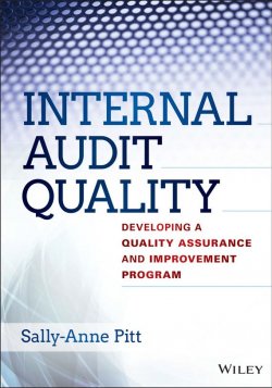 Книга "Internal Audit Quality. Developing a Quality Assurance and Improvement Program" – 