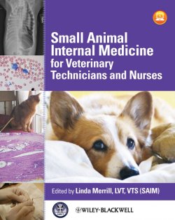 Книга "Small Animal Internal Medicine for Veterinary Technicians and Nurses" – 