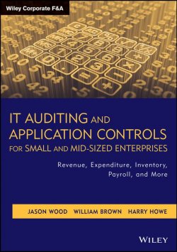 Книга "IT Auditing and Application Controls for Small and Mid-Sized Enterprises. Revenue, Expenditure, Inventory, Payroll, and More" – 