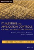 IT Auditing and Application Controls for Small and Mid-Sized Enterprises. Revenue, Expenditure, Inventory, Payroll, and More ()