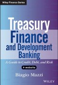 Treasury Finance and Development Banking. A Guide to Credit, Debt, and Risk ()