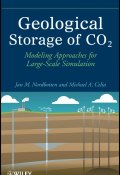 Geological Storage of CO2. Modeling Approaches for Large-Scale Simulation ()