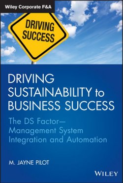 Книга "Driving Sustainability to Business Success. The DS FactorManagement System Integration and Automation" – 