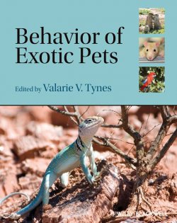 Книга "Behavior of Exotic Pets" – 