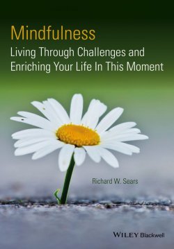Книга "Mindfulness. Living Through Challenges and Enriching Your Life In This Moment" – 