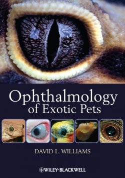 Книга "Ophthalmology of Exotic Pets" – 