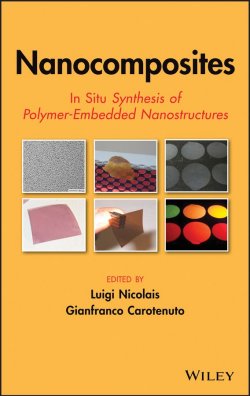 Книга "Nanocomposites. In Situ Synthesis of Polymer-Embedded Nanostructures" – 