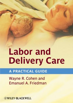 Книга "Labor and Delivery Care. A Practical Guide" – 