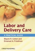 Labor and Delivery Care. A Practical Guide ()