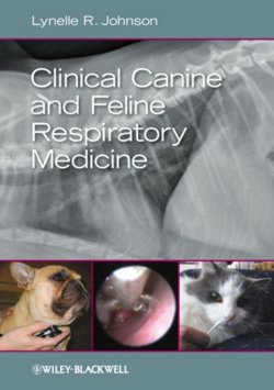 Книга "Clinical Canine and Feline Respiratory Medicine" – 