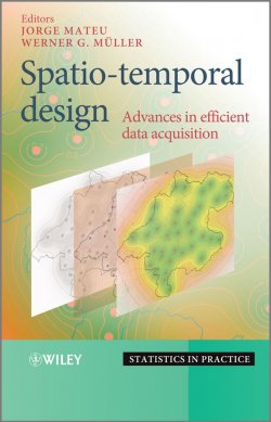 Книга "Spatio-temporal Design. Advances in Efficient Data Acquisition" – 