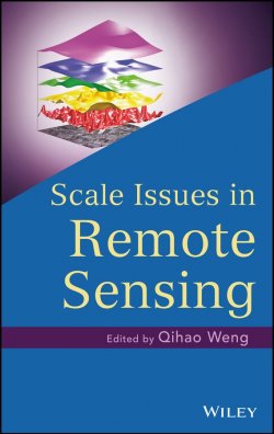 Книга "Scale Issues in Remote Sensing" – 
