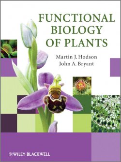 Книга "Functional Biology of Plants" – 